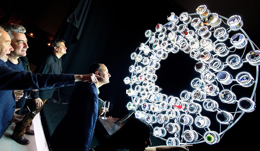 Staff admiring the cosmos display minutes after it's reveal