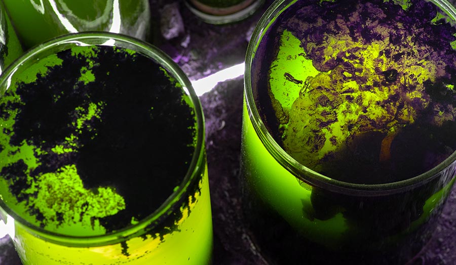 Close-up of two glass containers filled with green liquid