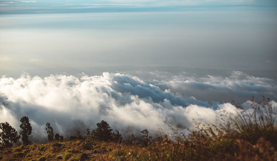 A misty landscape