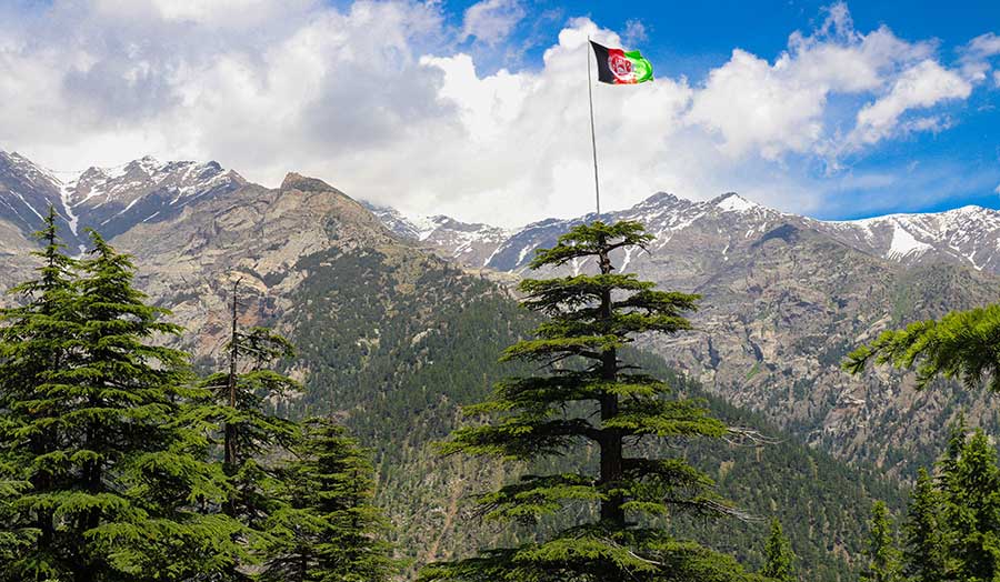 Picture of Afghan mountains with Afghan flag on top of the tree
