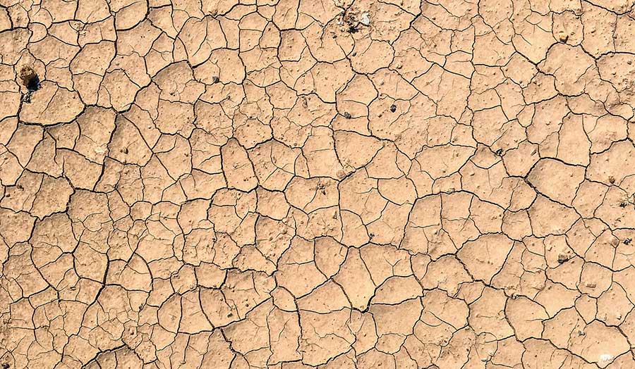 a desert covered in dry clay