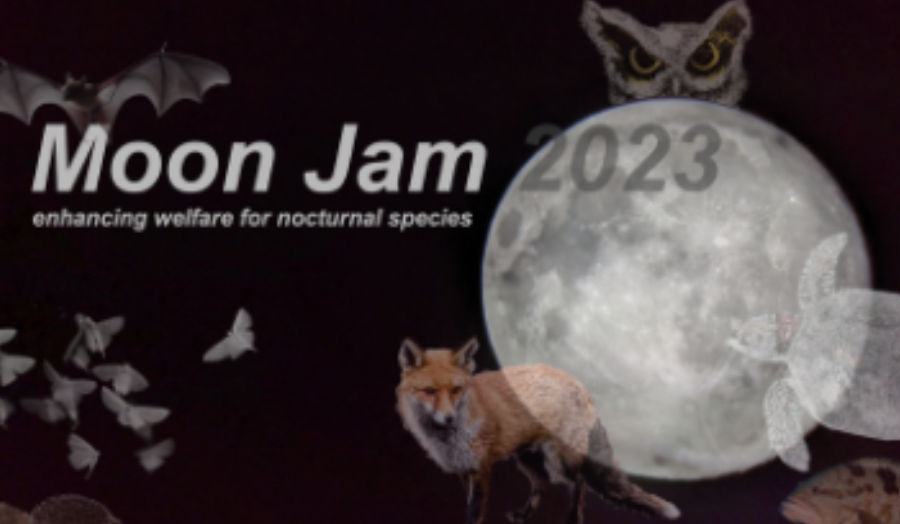An image of bats, moths, hedgehogs, a fox, a fish, an owl, a turtle & in the centre, a full moon.