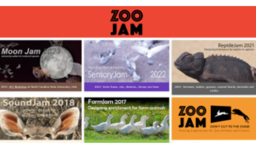 Screenshot depicting animals from the Zoo Jam website projects.