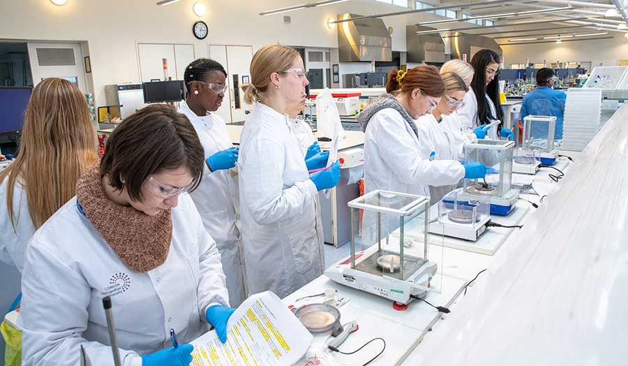 Students analysing food samples